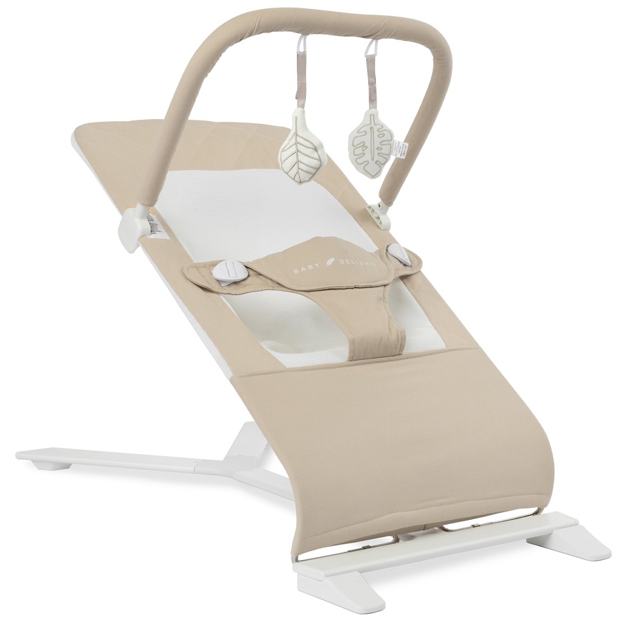 baby delight alpine bouncer