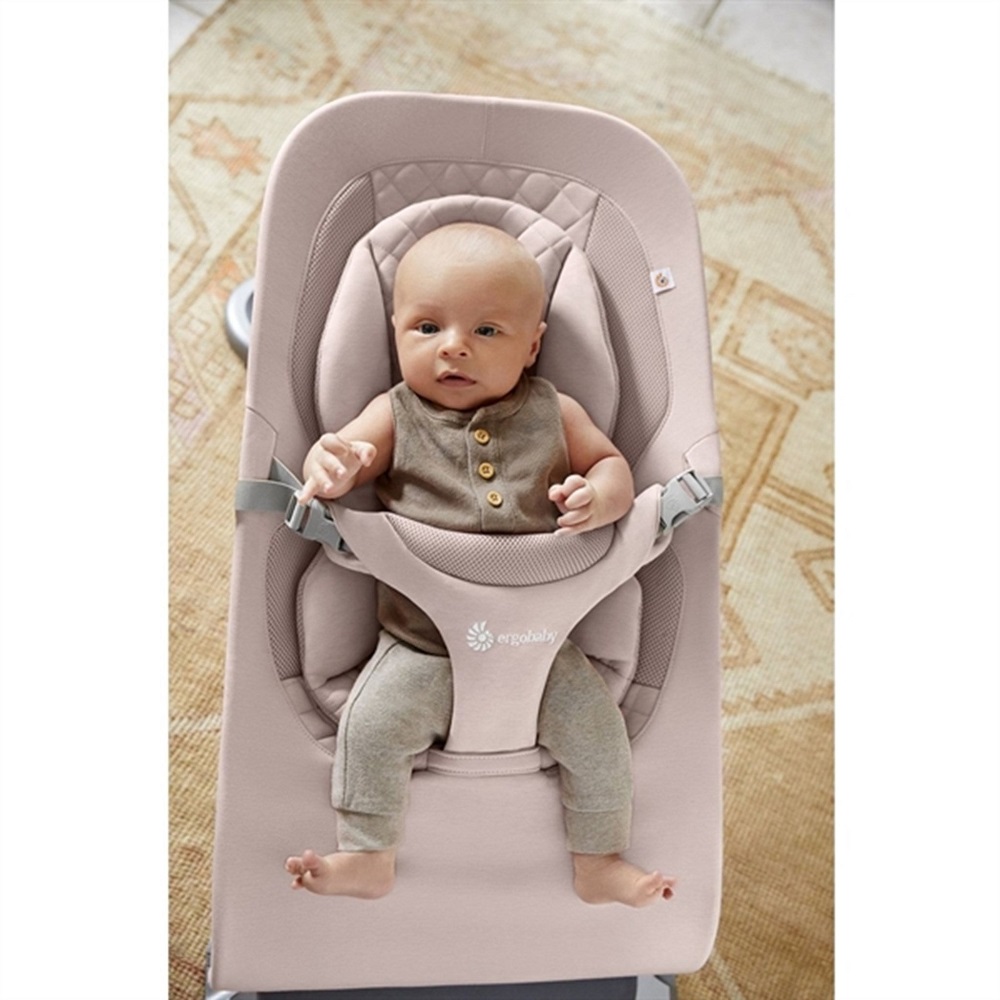 ergobaby evolve bouncer