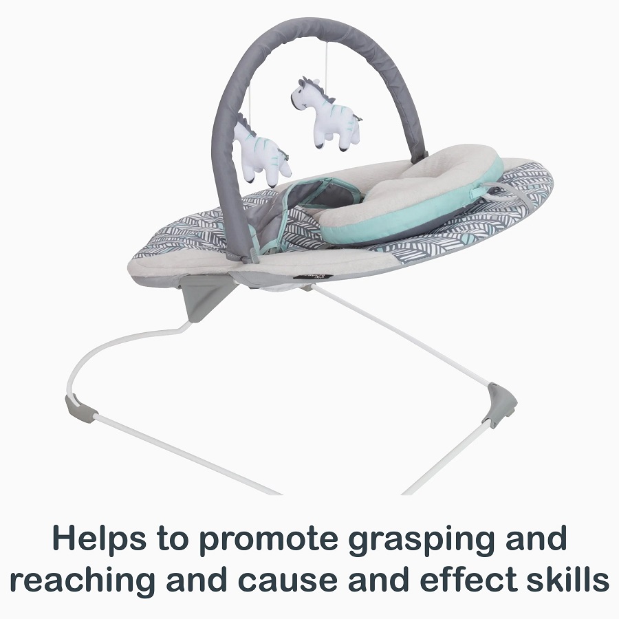 walmart baby bouncer
